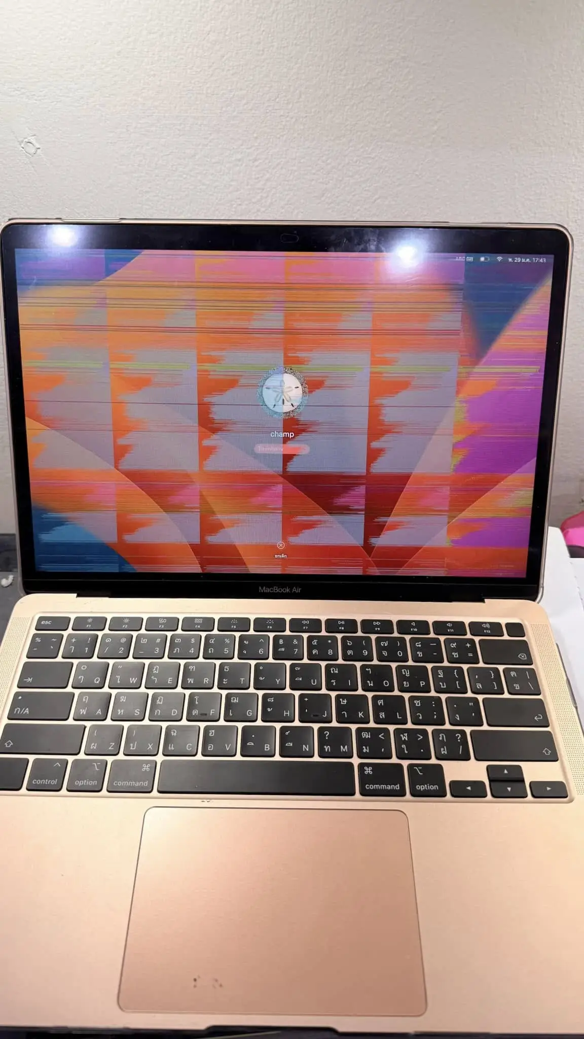 481242976_122227521074202468_5298092503137139606_n