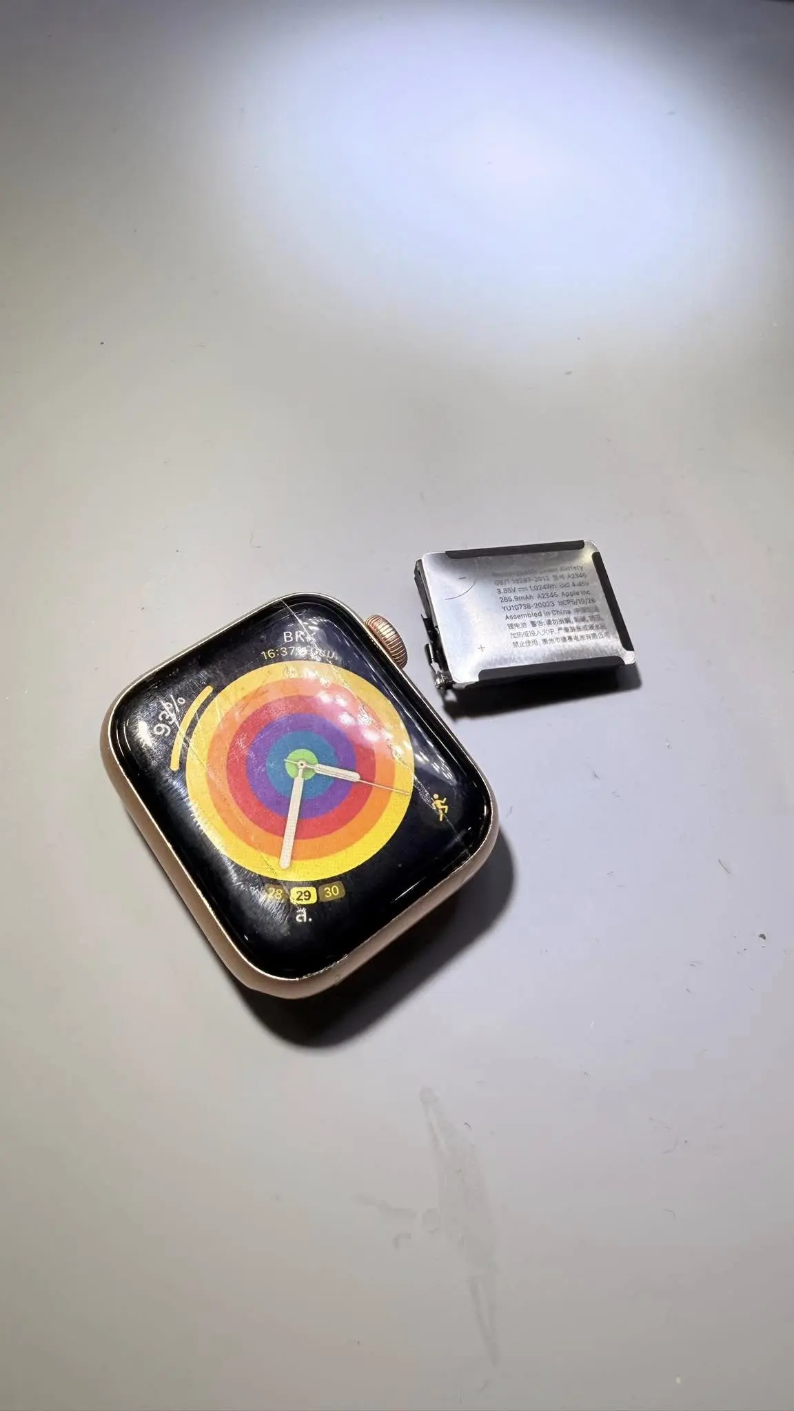 487241022_122234317046202468_4435896055823372745_n